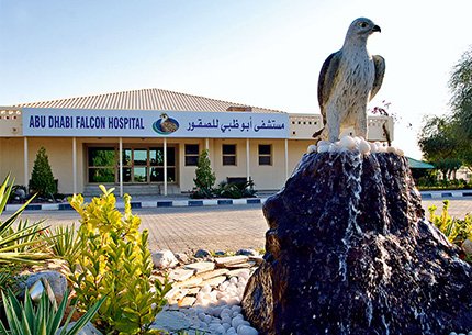 Falcon Hospital Tour