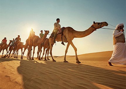 Camel Trekking Tour Abu Dhabi