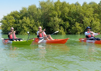 Mangrove Kayaking Tour