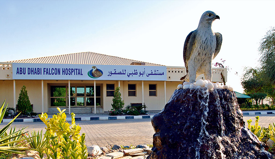 abu dhabi falcon hospital tour