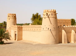 acti-image