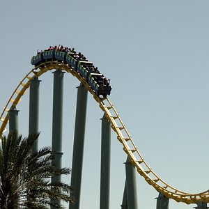 auth-image