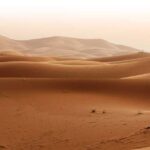 Experience the best Abu Dhabi Evening Desert Safari in 2025. Explore top Desert Safari Deals in Abu Dhabi with dune bashing, camel rides, BBQ dinner, and cultural shows.