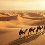 Camel Trekking Tour Abu Dhabi