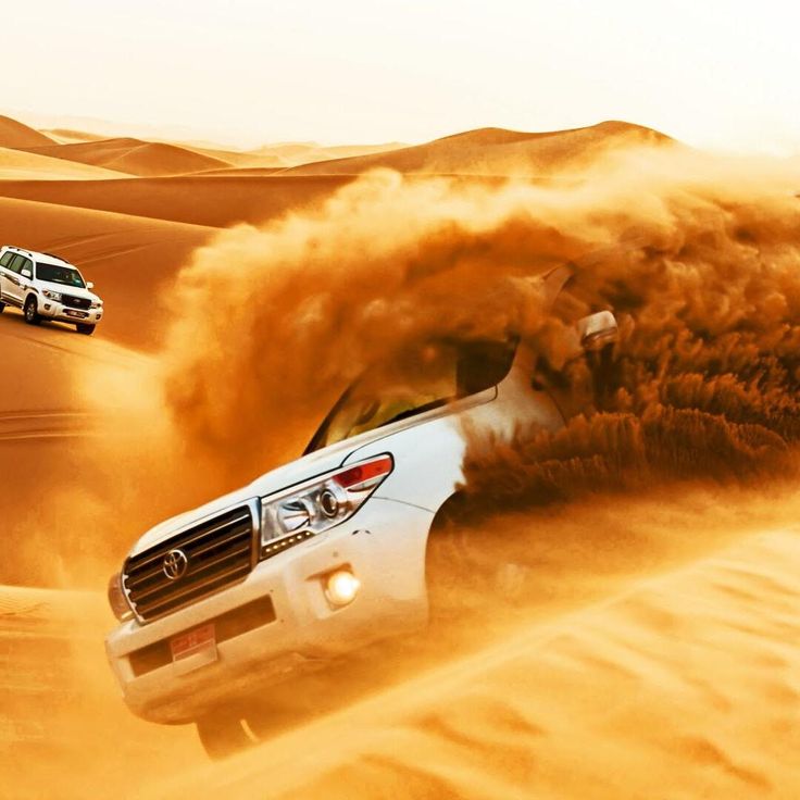 Morning Desert Safari in Abu Dhabi